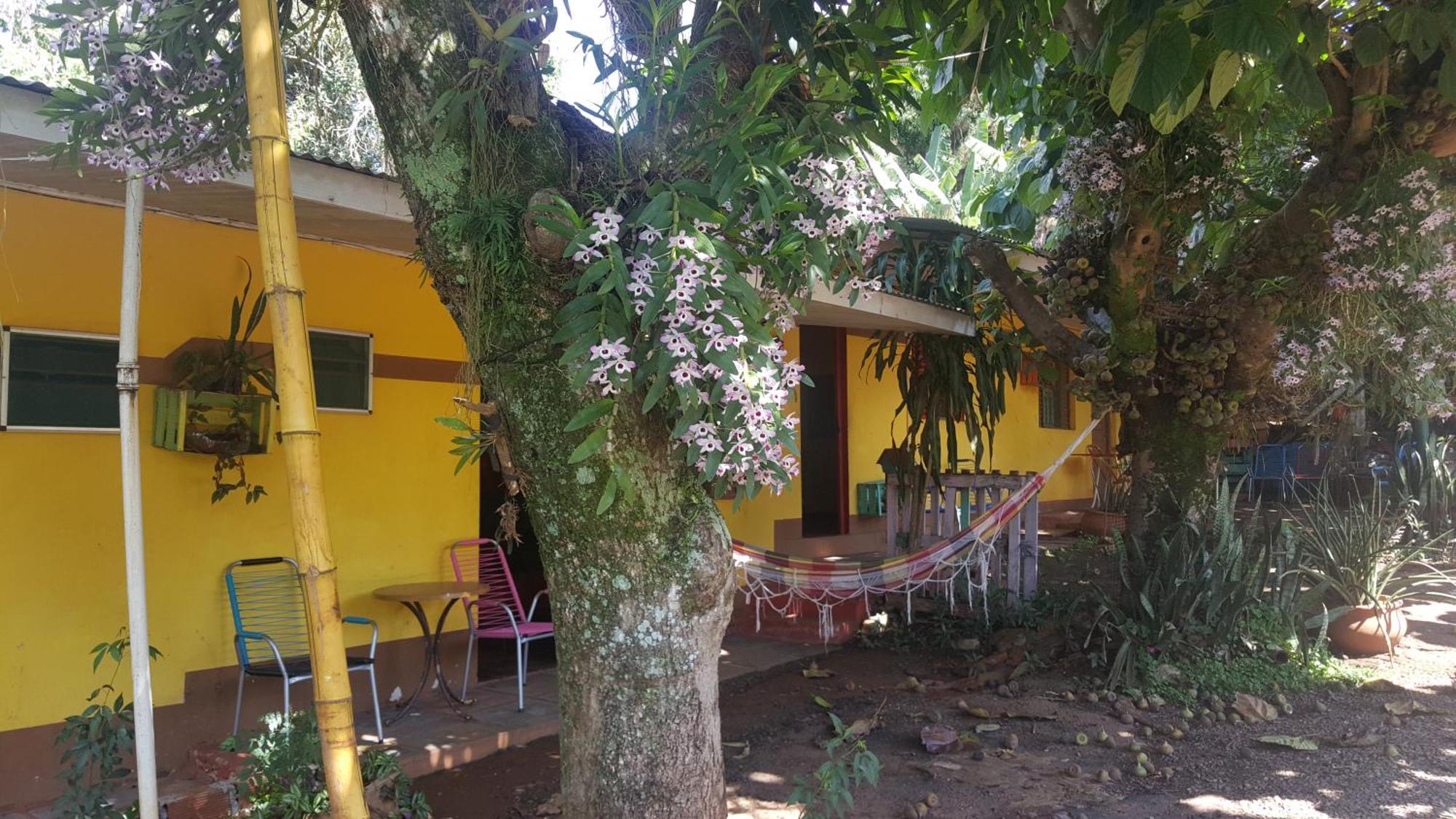 Hotel Los Amigos Puerto Iguazú Exterior foto